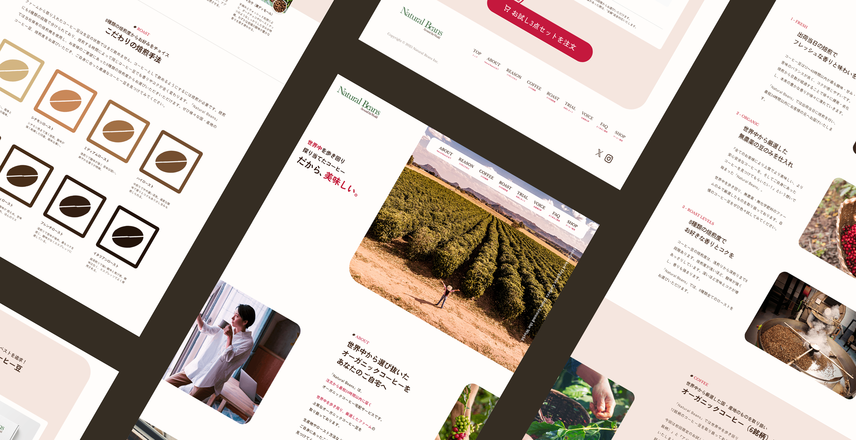 Natural Beans LPサイトについて